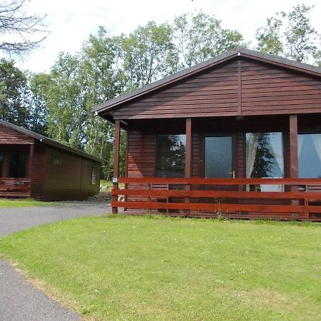 Birch Lodge 20 With Hot Tub Newton Stewart Ngoại thất bức ảnh